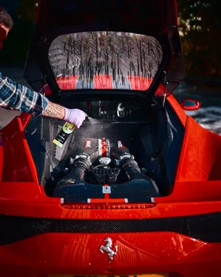 Yum Citrus - קדם שטיפה והורדת מזהמים בריסוס