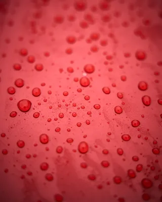 אוטם צבע קרמי מרוכז בהקצפה לרכב - +Yum FOAM