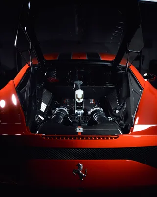 ספריי דיטיילר לרכב - Yum Detailer