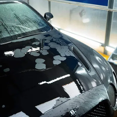 שמפו לרכבי מט ועיטופים - labocosmetica SATINO